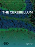 The Cerebellum《小脑》