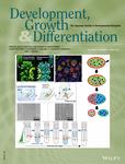 Development Growth & Differentiation《发展、成长与分化》