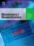 Biosensors & Bioelectronics《生物传感器与生物电子学》