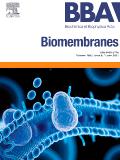 Biochimica et Biophysica Acta-Biomembranes《生物化学与生物物理学报：生物膜》
