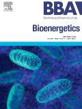 Biochimica et Biophysica Acta-Bioenergetics《生化与生物物理学报：生物能学》