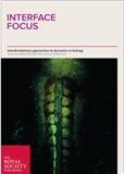 Interface Focus《界面聚焦》