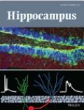 HippoCampus《海马》