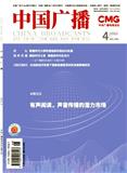 中国广播（已更名为《中国视听》）