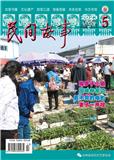 民间故事（更名为《中医药历史与文化》）
