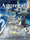 聚集体（英文）（Aggregate）（国际刊号）（OA期刊）
