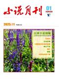 小说月刊