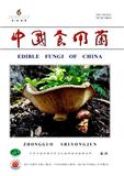 中国食用菌