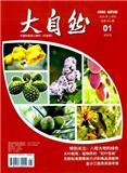 大自然