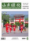 山东绿化