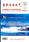 氮肥与合成气（原：小氮肥）