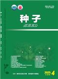 种子