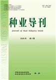 种业导刊