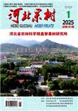 河北果树