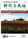 耕作与栽培