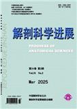 解剖科学进展
