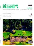 美与时代（城市版）（合并至《美与时代》）