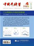中国井矿盐