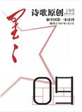 星星（诗歌原创）（上旬刊）（原:星星诗刊.上半月）