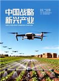 中国战略新兴产业