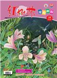 红树林