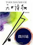 天下诗歌（文学内刊）