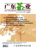 广东茶业