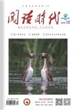 阅读时代