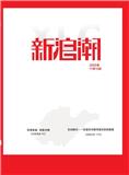 新浪潮