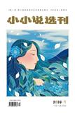 小小说选刊
