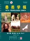 兽类学报