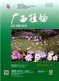 广西植物