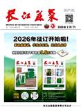 长江蔬菜