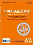 中国民族医药杂志