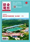 猪业观察（原：农村养殖技术）