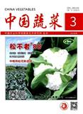 中国蔬菜