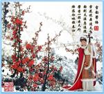 飞雪