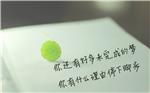 沙滩上玩耍的風