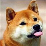 梅尹果果