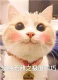 夏阳晢煜
