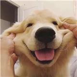 吃