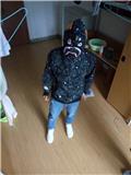卡尔Karl
