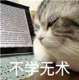 不学无术