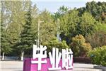 无语正黄昏_