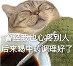 学术菜鸡