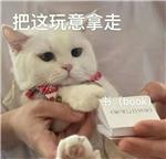 jie