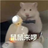 映之