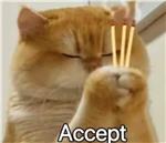 acceptacceptaccept