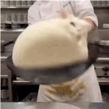 千变万化